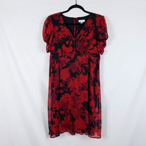 Calvin Klein Whimsigoth Dress Womens 14 Red Floral Dark Romantic Chiffon
